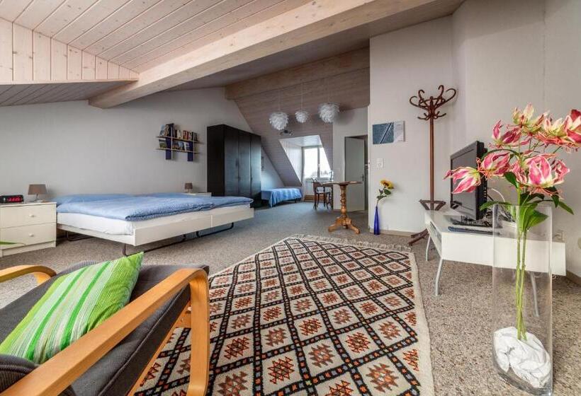 חדר סטנדרט, Mybednbreakfast In Bottmingen