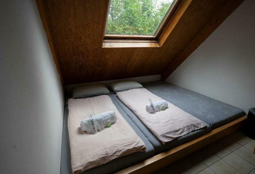 Номер Стандарт Совместная Ванная, Delémont Youth Hostel