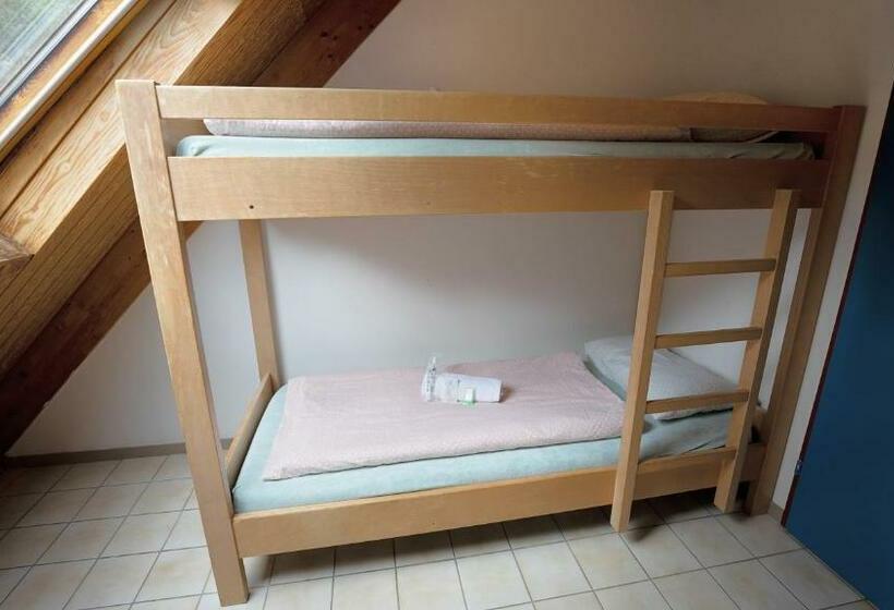 Номер Стандарт Совместная Ванная, Delémont Youth Hostel