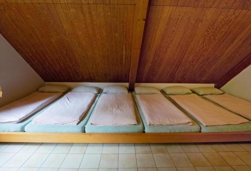 Кровать в Общей Комнате, Delémont Youth Hostel