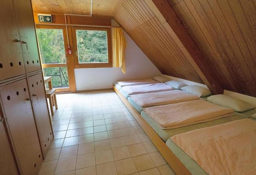 Кровать в Общей Комнате, Delémont Youth Hostel