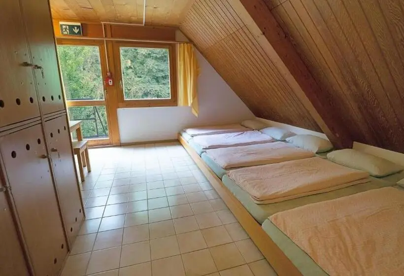ルームシェアのワンベッド, Delémont Youth Hostel