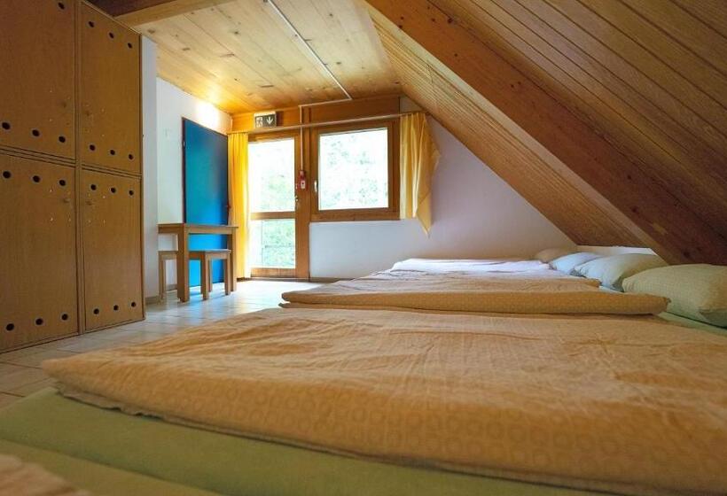 共用房间的床, Delémont Youth Hostel