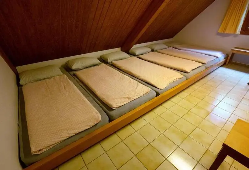 ルームシェアのワンベッド, Delémont Youth Hostel