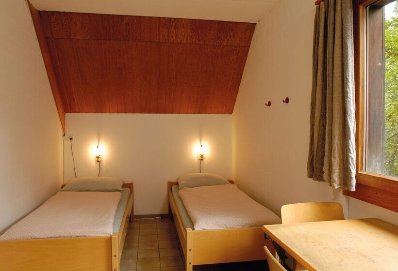 Номер Стандарт Совместная Ванная, Delémont Youth Hostel