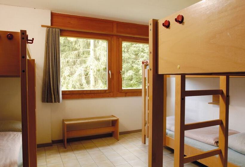 Номер Стандарт Совместная Ванная, Delémont Youth Hostel