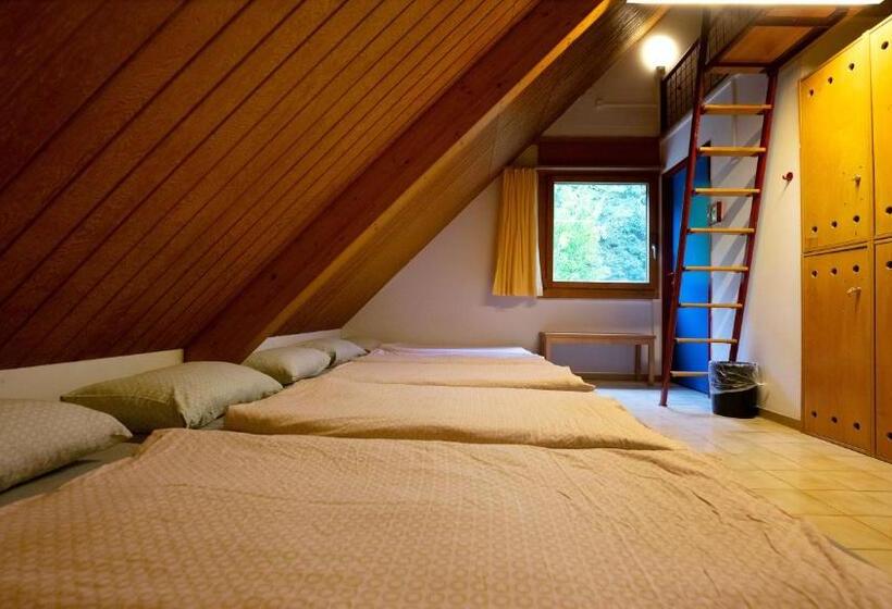 Кровать в Общей Комнате, Delémont Youth Hostel