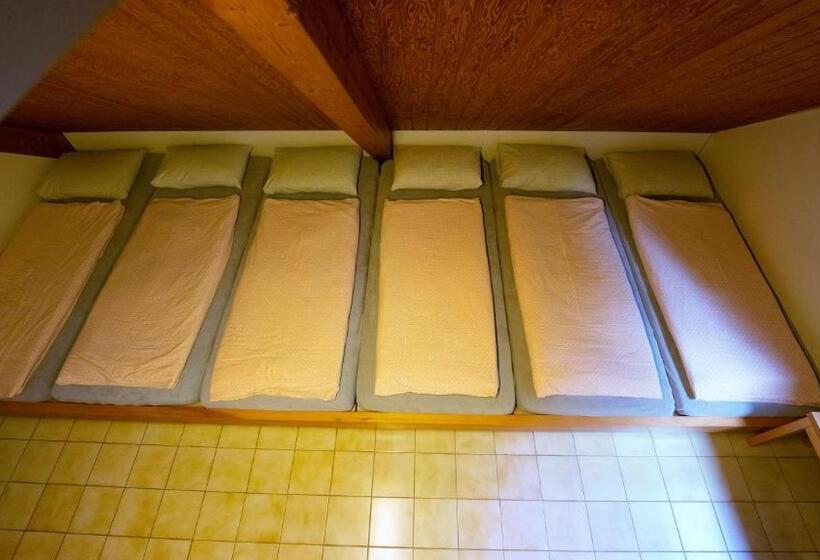 Кровать в Общей Комнате, Delémont Youth Hostel