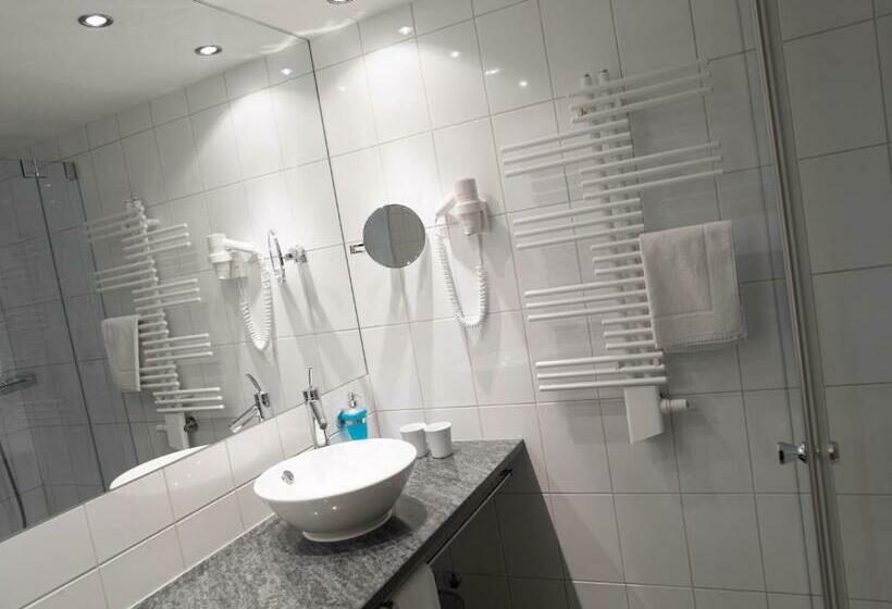 Номер Superior, Alpina Parpan