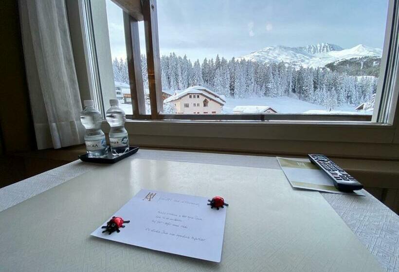 Номер Стандарт, Alpina Parpan