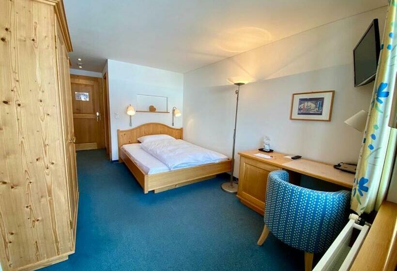 Номер Superior Одноместный, Alpina Parpan