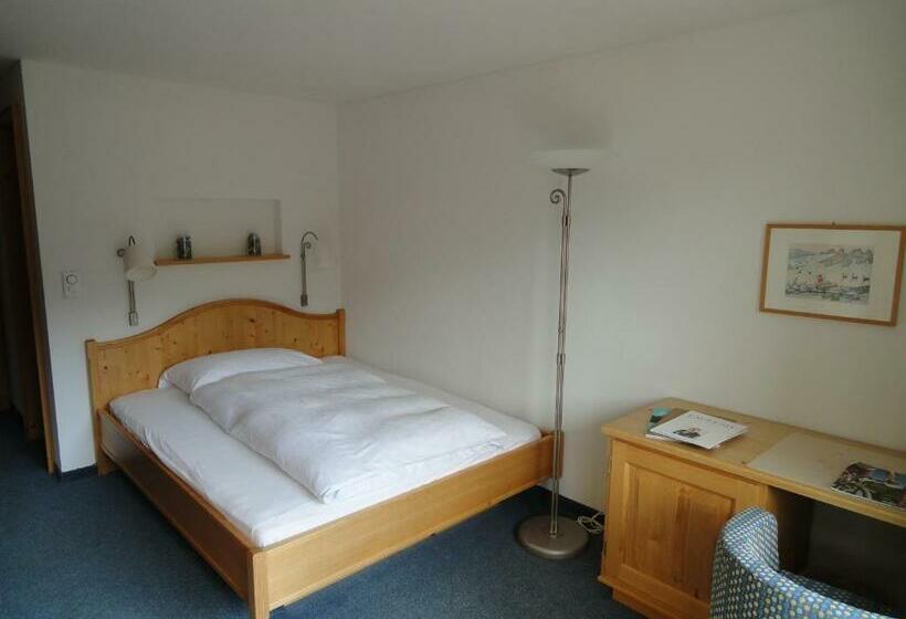 Номер Superior Одноместный, Alpina Parpan