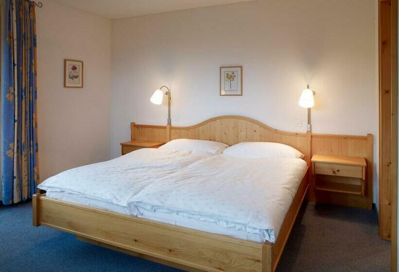 Номер Superior, Alpina Parpan