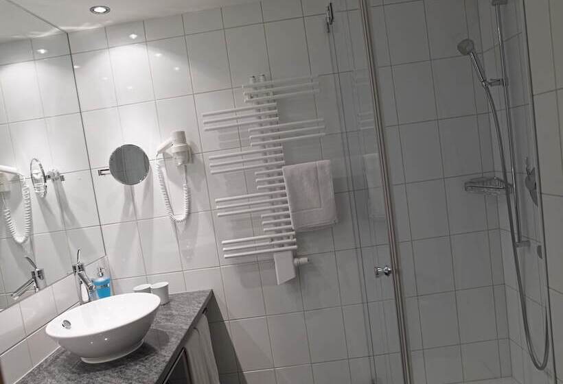 Номер Superior, Alpina Parpan