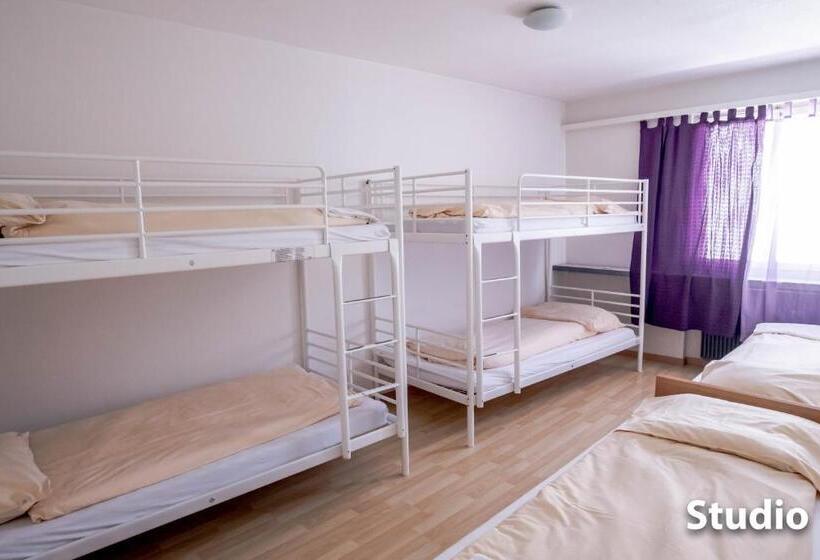 إستوديو قياسى, & Backpackers Zak Schaffhausen