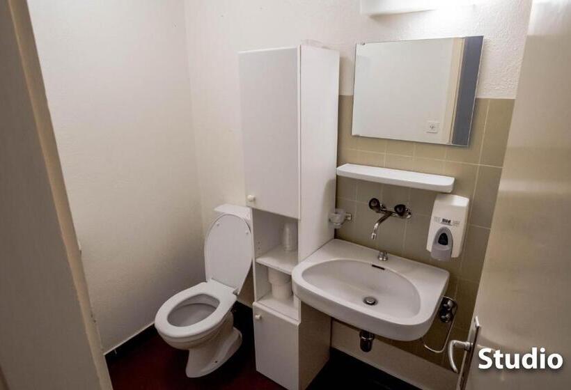 إستوديو قياسى, & Backpackers Zak Schaffhausen