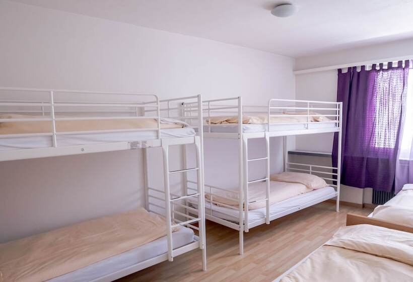 إستوديو قياسى, & Backpackers Zak Schaffhausen