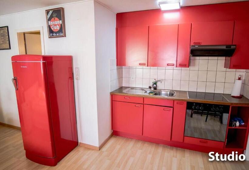إستوديو قياسى, & Backpackers Zak Schaffhausen