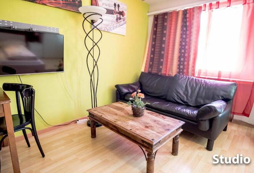 إستوديو قياسى, & Backpackers Zak Schaffhausen