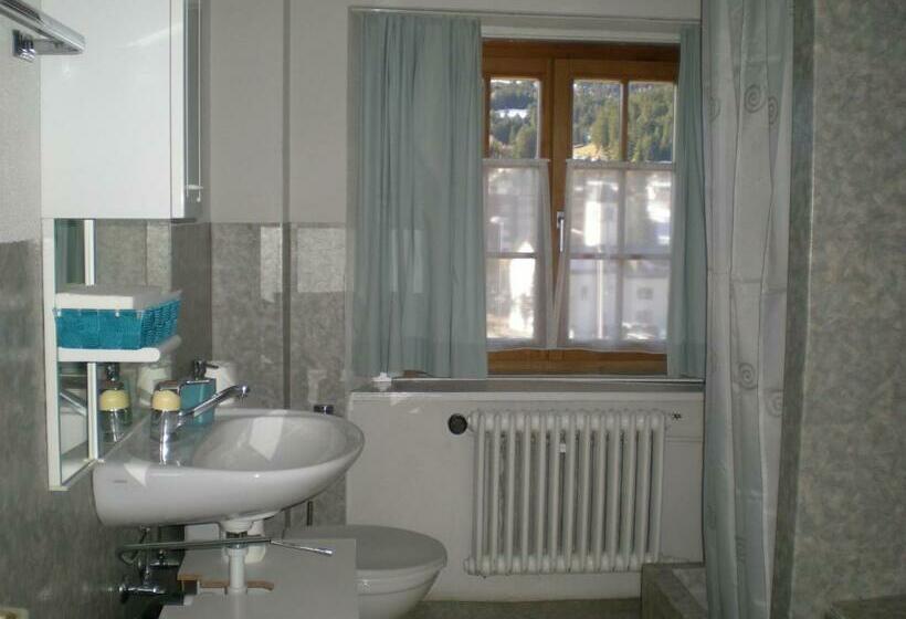 Номер Стандарт Индивидуальный Совместная Ванная, Danis