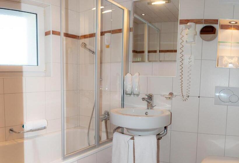 غرفة قياسية فردية, Garni Panorama