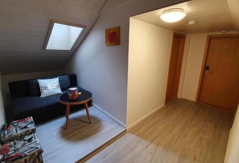 带共用浴室的标准房间, Gasthof Hirschen In Wilderswil