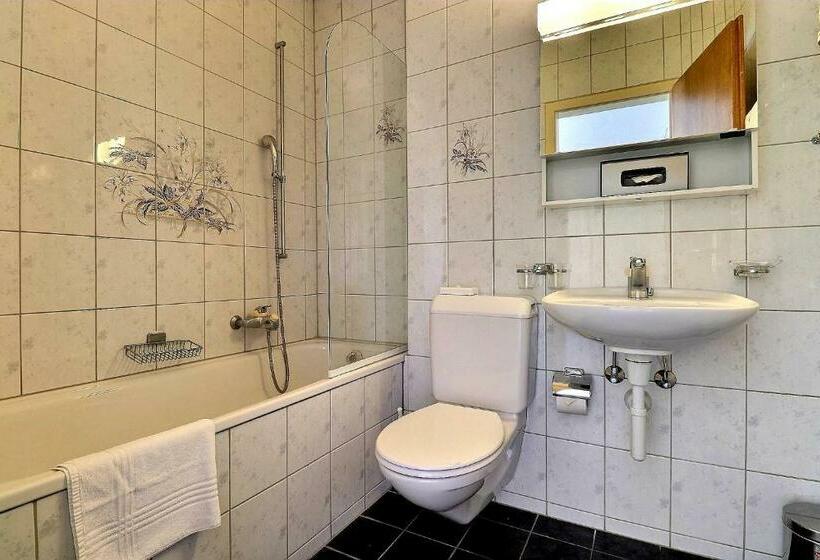 수피리어 룸, Hôtel Restaurant Bellevue