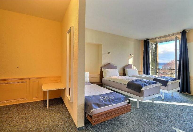 חדר סופריור, Hôtel Restaurant Bellevue