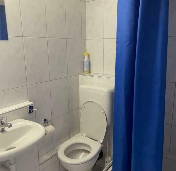 单人经济间, Schäfli