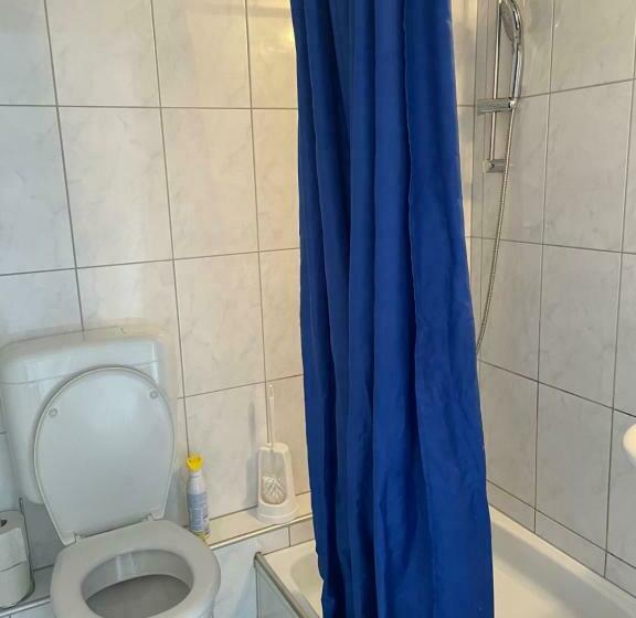 标准间带阳台, Schäfli