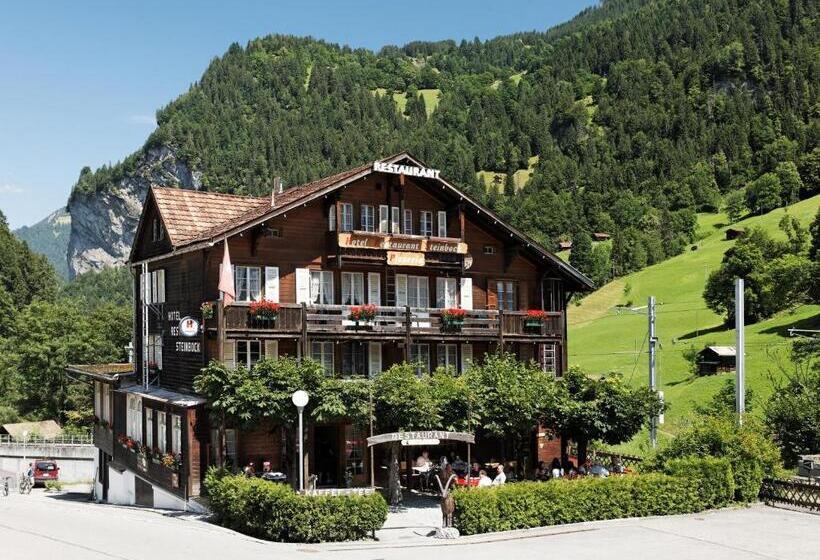 Номер Стандарт Совместная Ванная, Steinbock