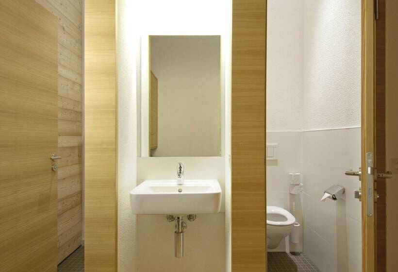 חדר סטנדרט יחיד, Scuol Youth Hostel