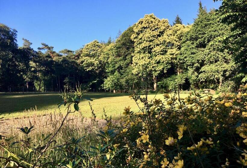 חדר סטנדרט עם טרסה, B&b En Boshuis Darthuizerpoort