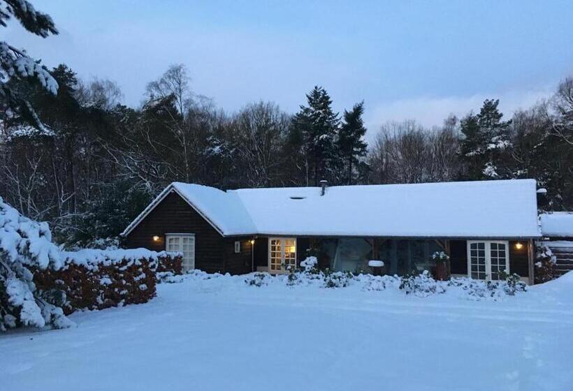 חדר דלוקס, B&b En Boshuis Darthuizerpoort