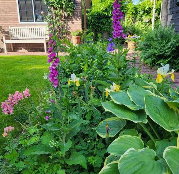 غرفة قياسية رباعية, B&b Het Gasthuys