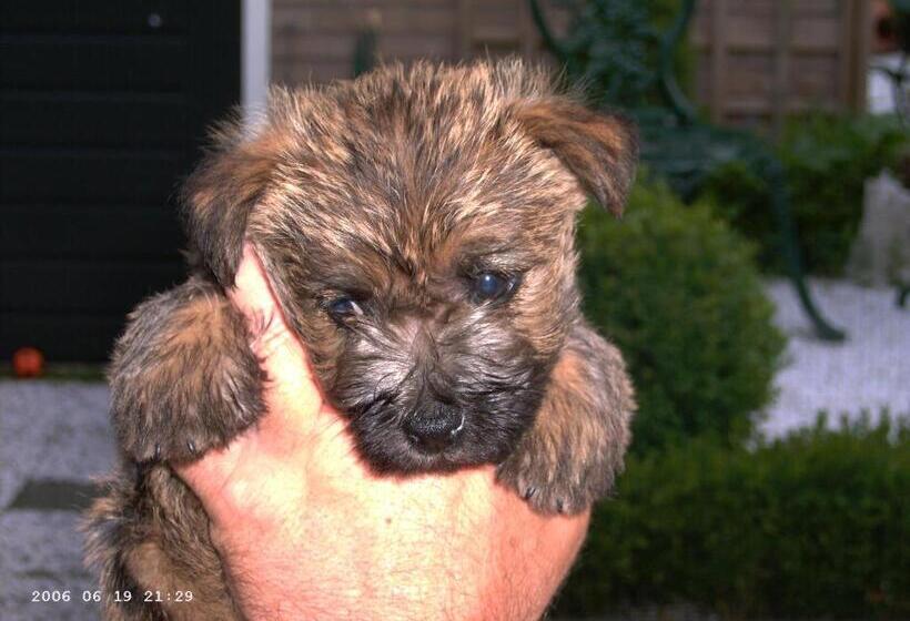 חדר משפחתי, B&b Opdeparkkamp Met Laadpaal Voor Elektrische Auto S