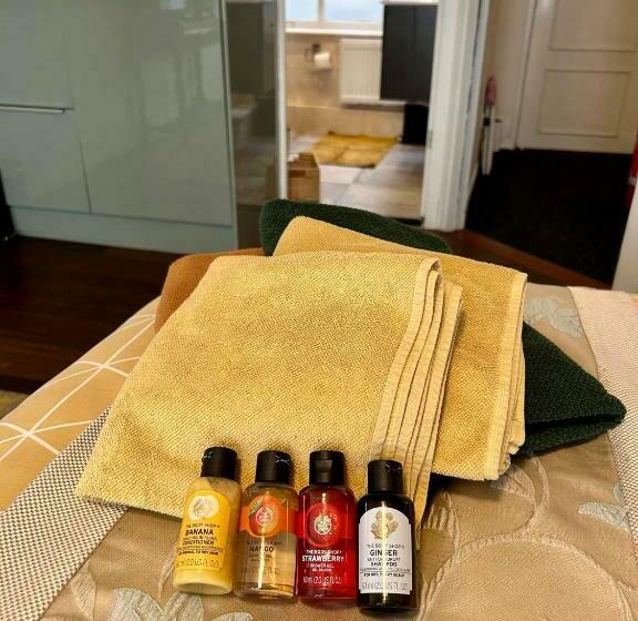 اتاق لوکس, Amsterdam 4 Holiday Guestrooms