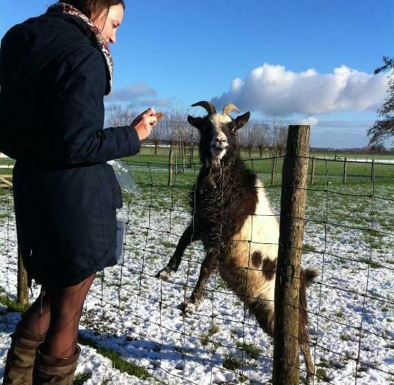 חדר סטנדרט לשלושה, De Nachtdijk