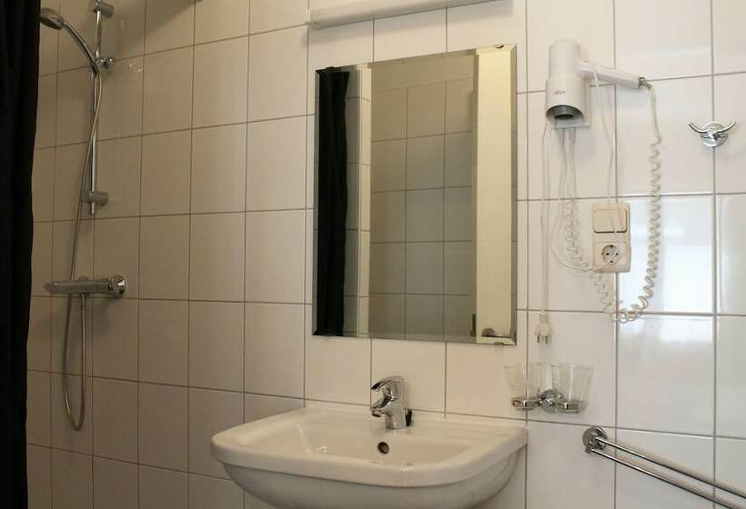 חדר סטנדרט, De Vier Heemskinderen