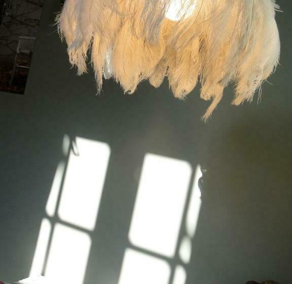 اتاق استاندارد, Labnul50 Groningen