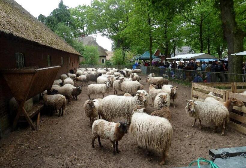 חדר סטנדרט עם מרפסת, Wapen Van Exloo