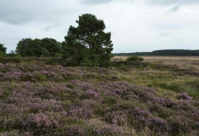 חדר סטנדרט עם מרפסת, Wapen Van Exloo