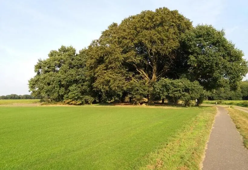 Standard-huone Parveke, Wapen Van Exloo