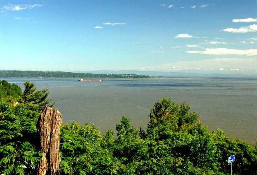 غرفة قياسية سرير كينج, Gîte Au Perchoir