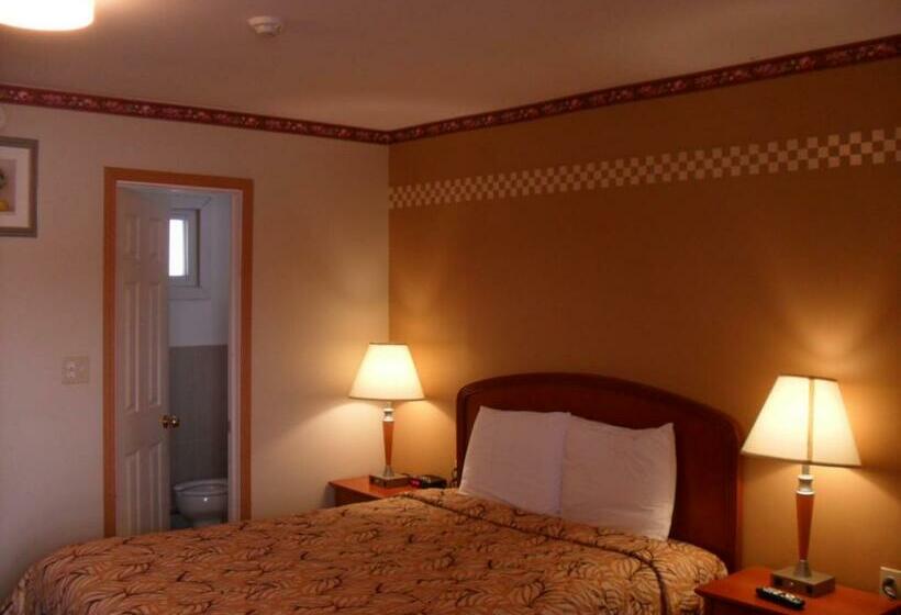 غرفة قياسية, Forest Plaza Motel