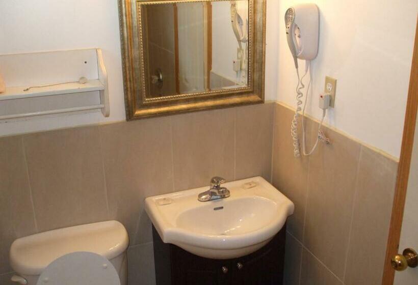 غرفة قياسية, Forest Plaza Motel