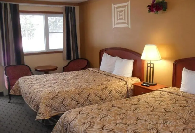 スタンダードルーム, Forest Plaza Motel
