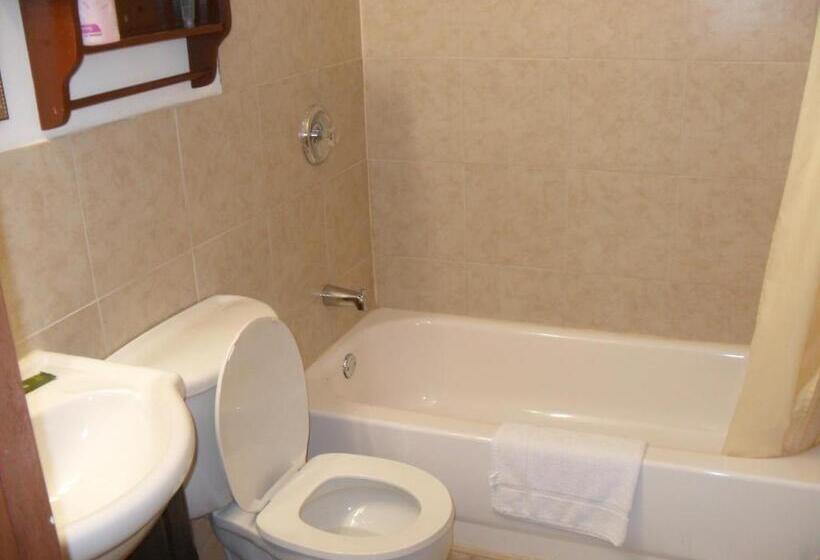 غرفة قياسية, Forest Plaza Motel