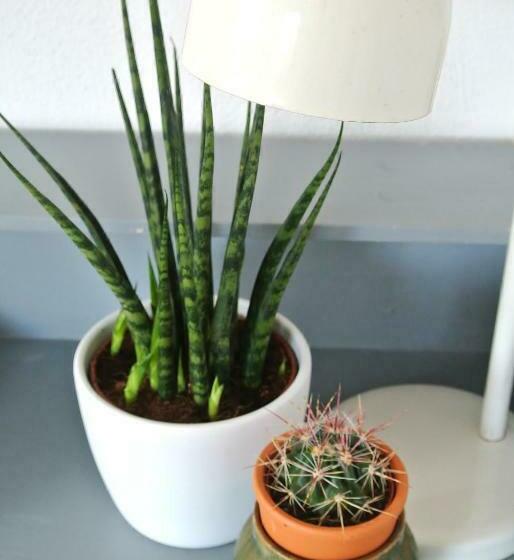 스탠다드 룸, B&b Altijd Wad