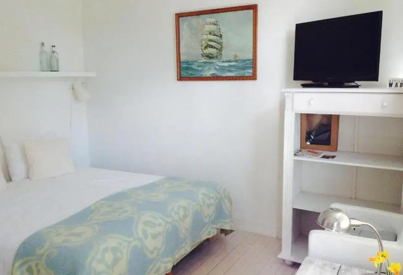 Standard-studio, B&b Altijd Wad